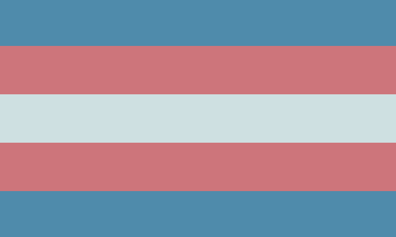 trans man Trans flag